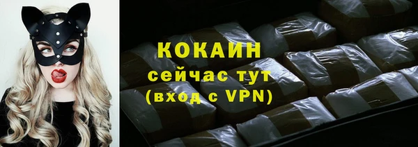 мет Арсеньев