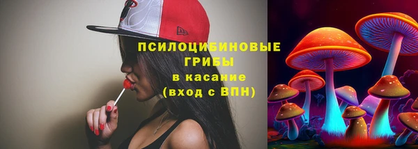 мет Арсеньев