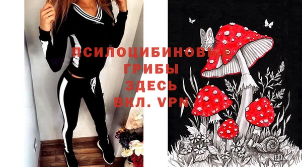 ALPHA PVP Баксан