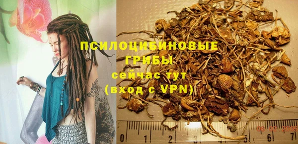 мескалин Балахна